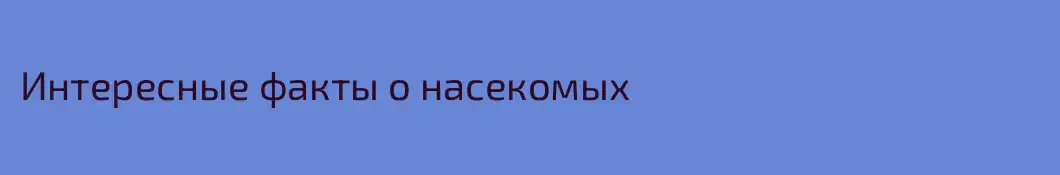 Интересные факты о насекомых